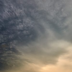 雲 / Clouds 8